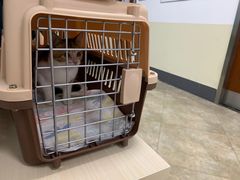 -美联众合动物医院·24h转诊中心