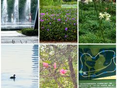 -白塘生态植物园