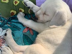 -蒲河岛湿地公园