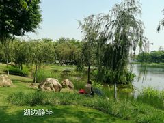 -映月湖公园