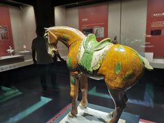 -宁夏博物馆