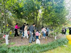 -硅谷蒙学幼儿园