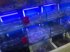 -阿弟特色海鲜餐厅·大排档(平潭店)