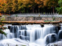 -洛阳白云山景区