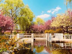 -石家庄市植物园