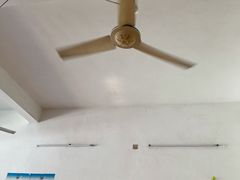 -清爽清补凉