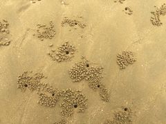 -小皓村