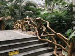 -龙达温泉生态城