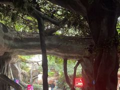 -横店影视城梦幻谷园区