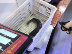 -鱼酷活鱼烤鱼(南京水游城店)