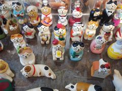 -猫咪博物馆(顶澳仔猫街店)