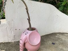 -鹿境梅花鹿生态园区