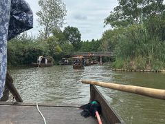 -溱湖国家湿地公园