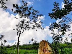 -田心森林公园