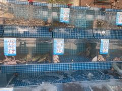 -东海章鱼馆(恒瑞街店)