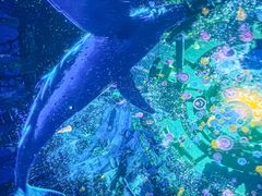 -海合安武汉极地海洋公园