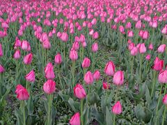 -长春公园(普阳街道)