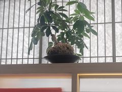 -长风拨筋养身(金虹桥店)