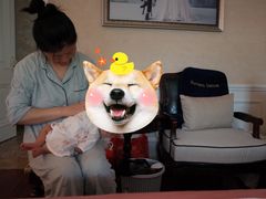 -和睦爱嘉月嫂·产后恢复中心(美罗店)