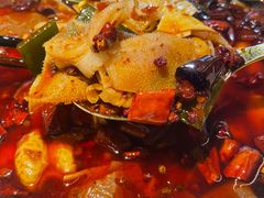 -茅庐毛血旺(烟台大悦城店)