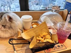 -猫小主咖啡·猫咖cat cafe(福田店)