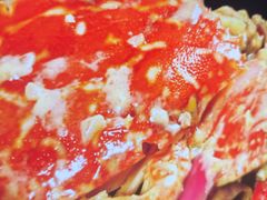 -白天鹅宾馆·月兔吧