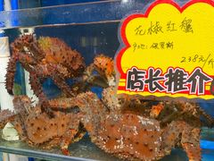 -蚝专家(北滘店)