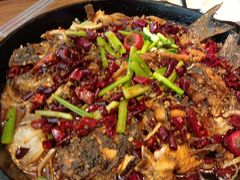 -老板恋上鱼(恒隆广场店)