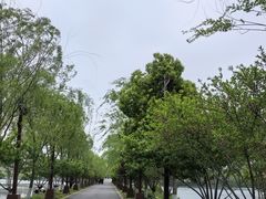 -南北湖风景区