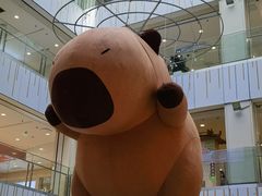 -凯德MALL(西直门店)