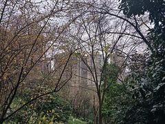 -龙头寺公园