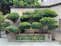 -广州神农草堂中医药博物馆