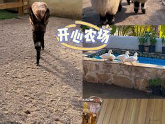 -HERRE·FARM 赫尔露营农场·团建聚会包场