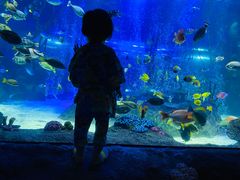 -沈阳海洋探索中心