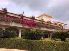 -三亚亚龙湾金棕榈度假酒店