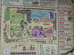 -呀路古热带植物园
