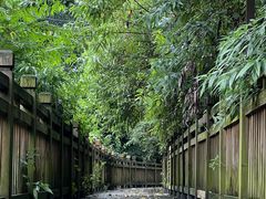 -峨眉山报国寺