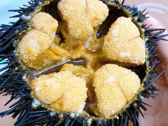 -海胆小馆(东北水饺·春柳店)