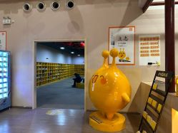 -疯狂的麦咭(长沙店)