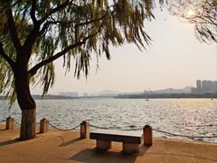 -济南国际园博园