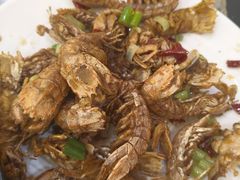 -木柴豆腐·活海鲜·鲁菜