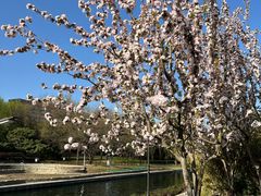 -海棠花溪(元大都城垣遗址公园)
