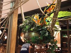 大堂-云海肴·汽锅鸡·云南菜(美罗城店)