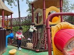 -合肥滨湖国家森林公园