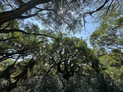 -青芝山风景名胜区