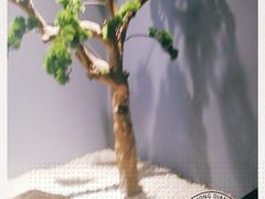 -足传奇足浴SPA(科技城店)