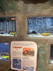 -奇幻萌宠部落(映月湖环宇城店)