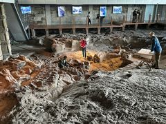 -自贡恐龙博物馆