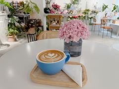 -Gigi Florist·Dk Coffee