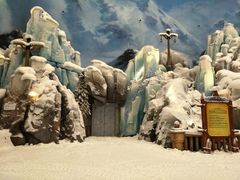 -长沙湘江冰雪世界